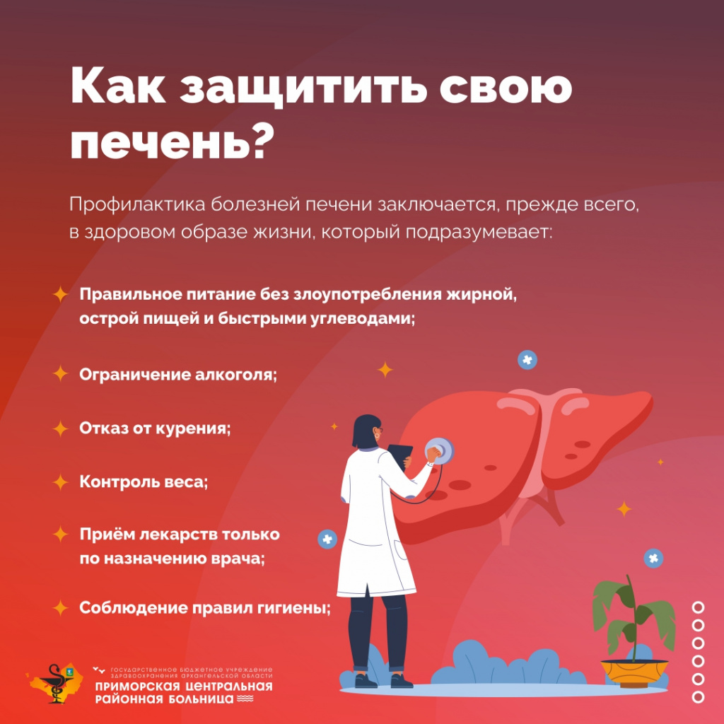 Роли печени в организме
